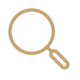 Search Icon